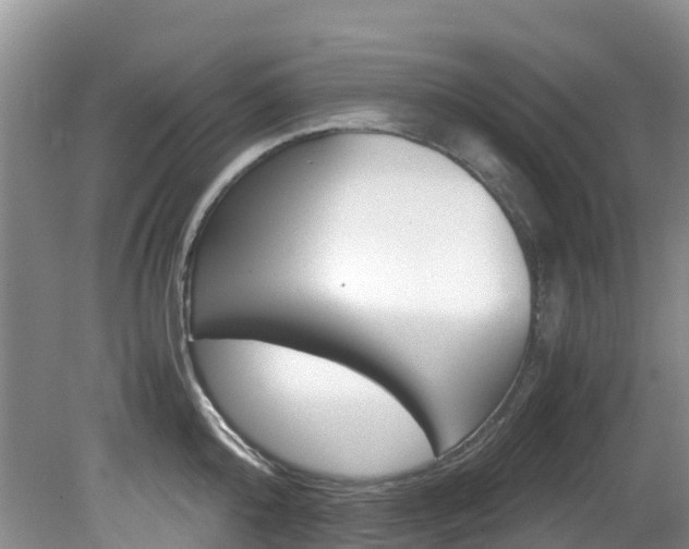 X0000081610808200701151118