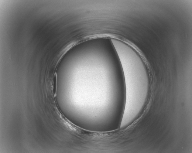 X0000081610809200701151118