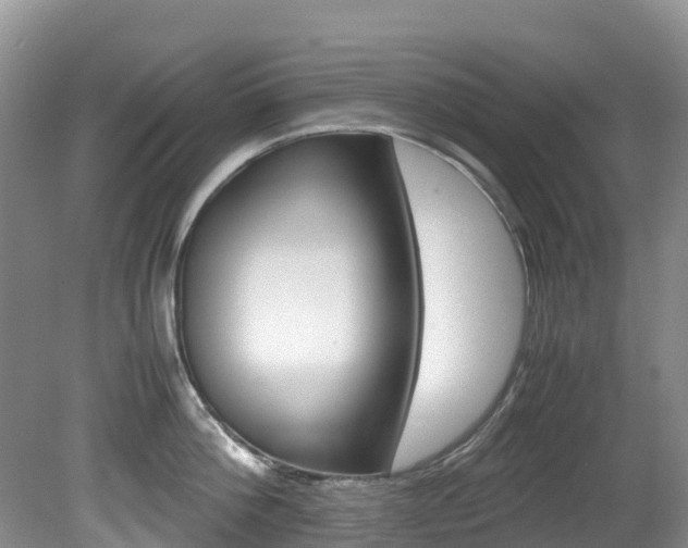 X0000081610812200701151118