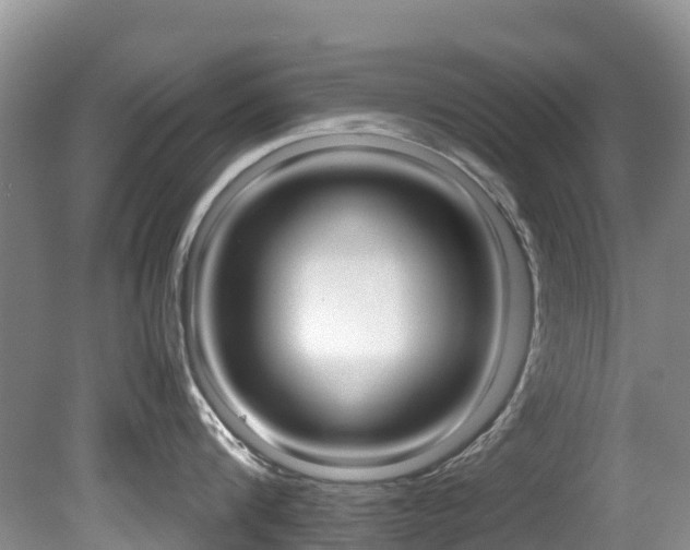X0000081610816200701151118