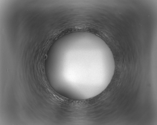 X0000081610817200701151117