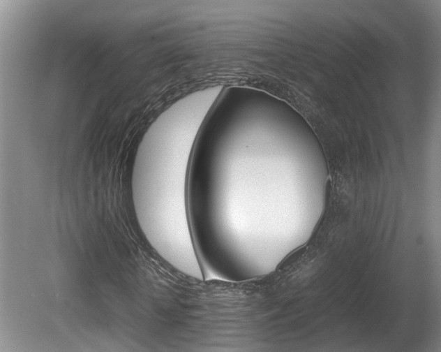 X0000081610818200701151117