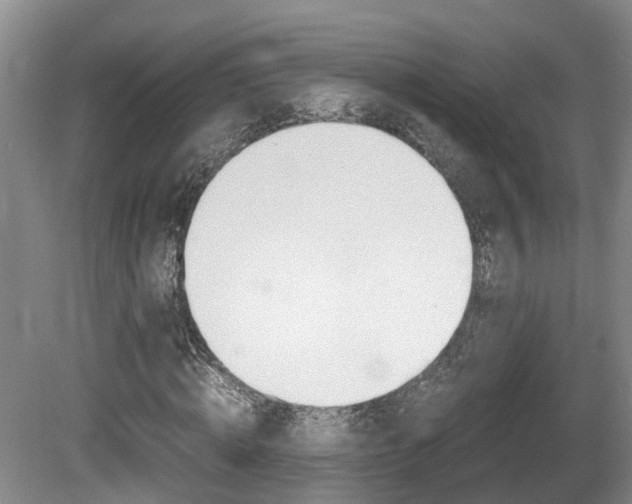 X0000081610820200701151117