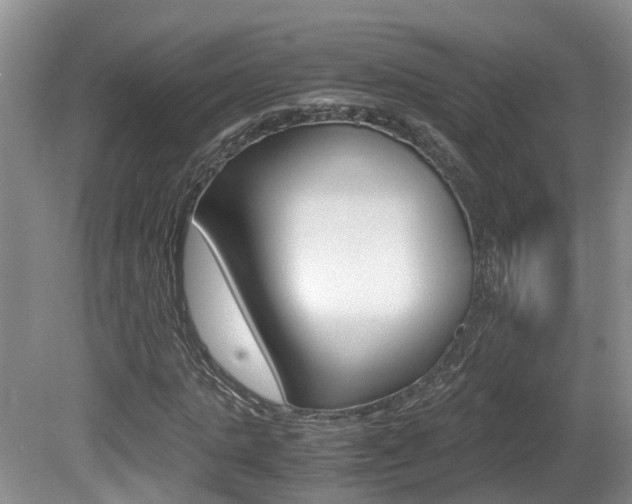 X0000081610821200701151117