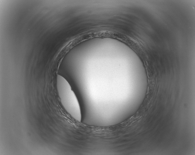X0000081610823200701151118