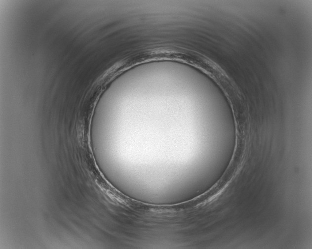 X0000081610825200701151118