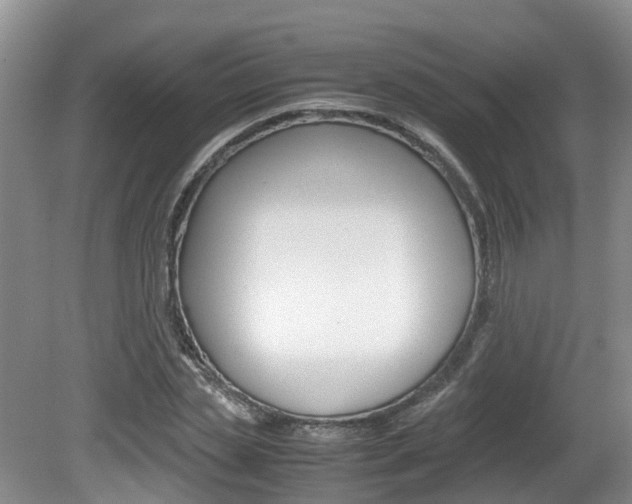 X0000081610829200701151118