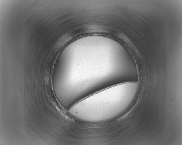 X0000081610833200701151118