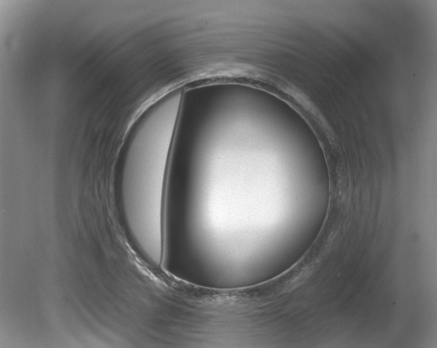X0000081610834200701151118