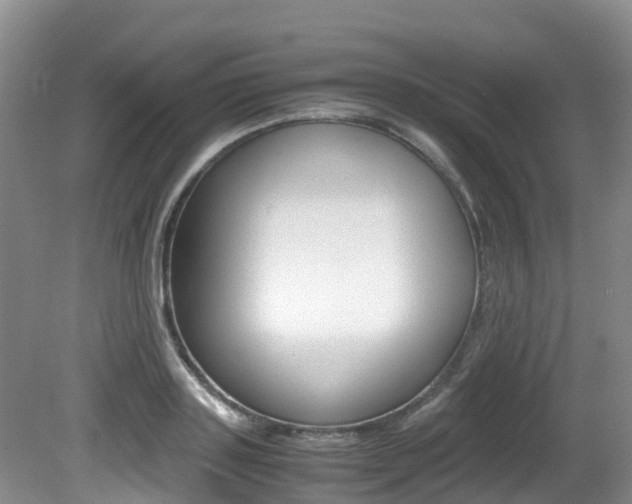 X0000081610843200701151118