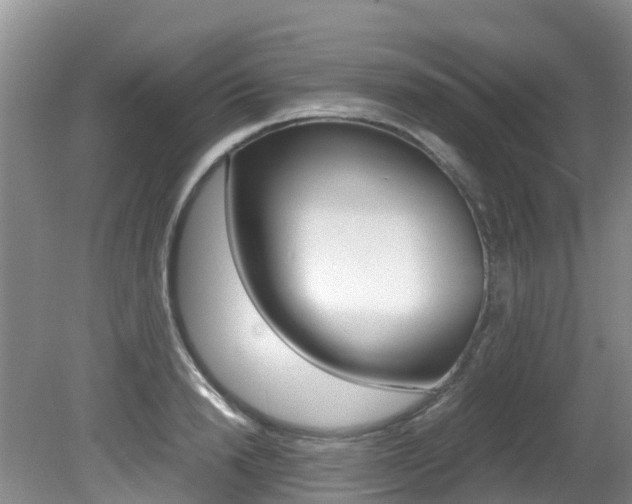 X0000081610846200701151118