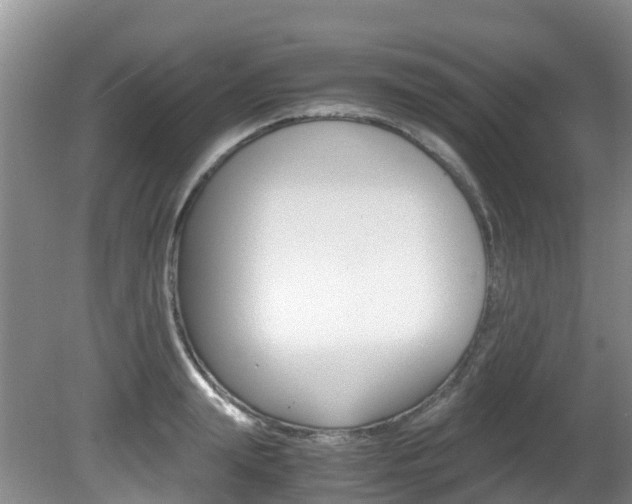 X0000081610847200701151118