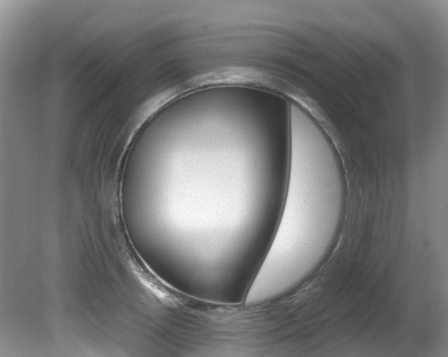 X0000081610850200701151118