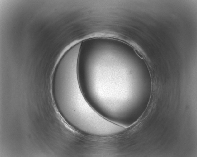 X0000081610854200701151118