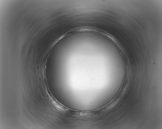 X0000081610857200701151118