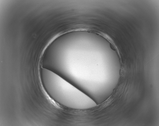 X0000081610859200701151118