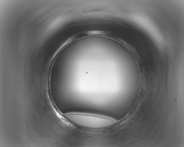 X0000081610861200701151118