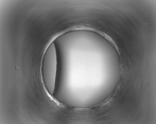 X0000081610863200701151118