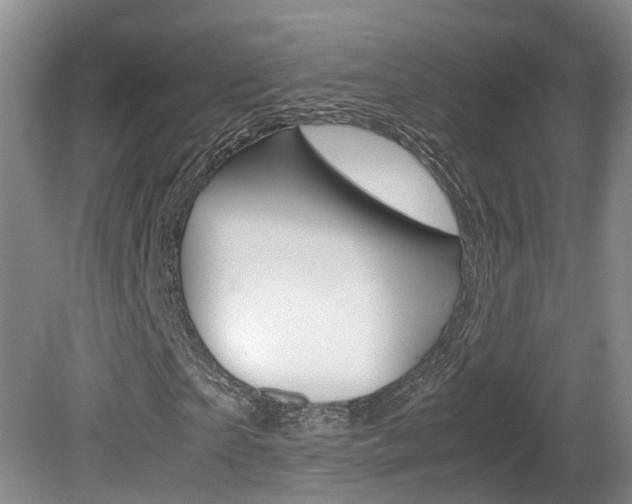 X0000081610865200701151117