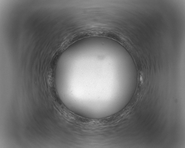 X0000081610867200701151117
