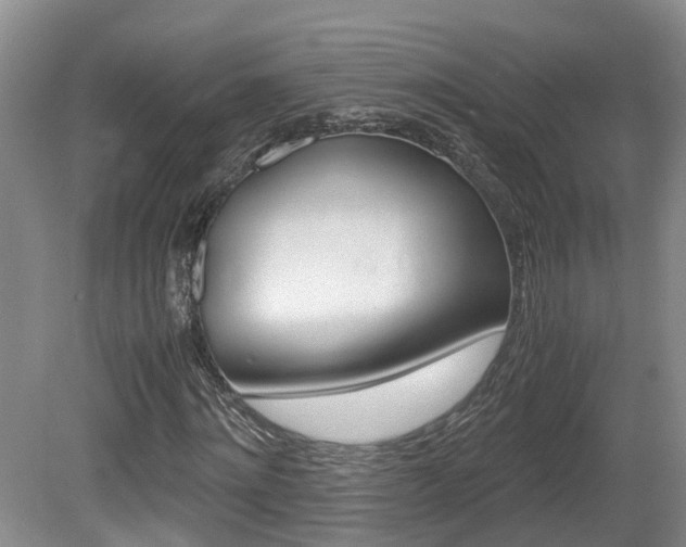 X0000081610868200701151117