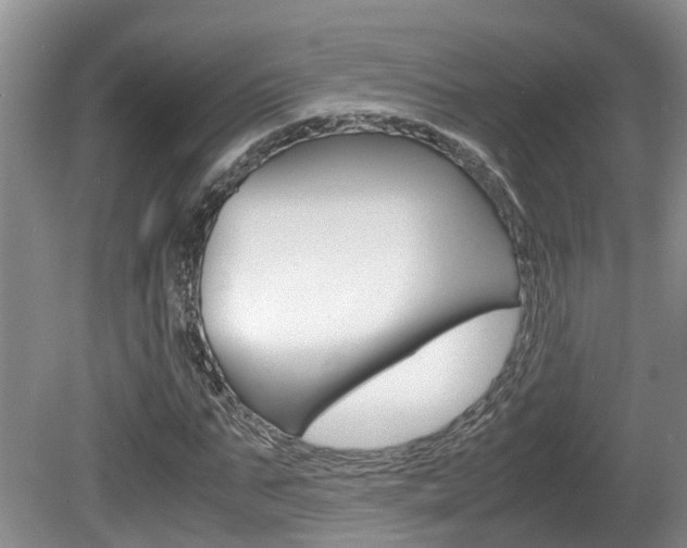 X0000081610871200701151117