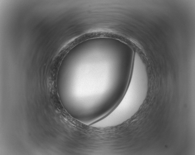 X0000081610872200701151117