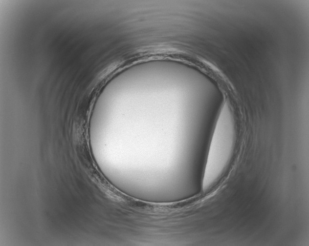 X0000081610873200701151117