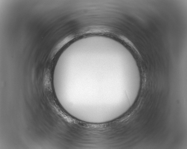 X0000081610874200701151117