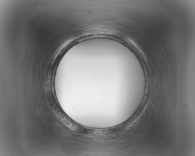 X0000081610875200701151117