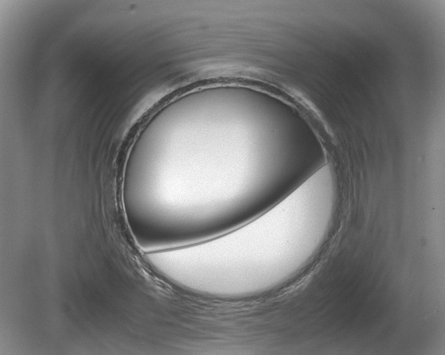 X0000081610877200701151117