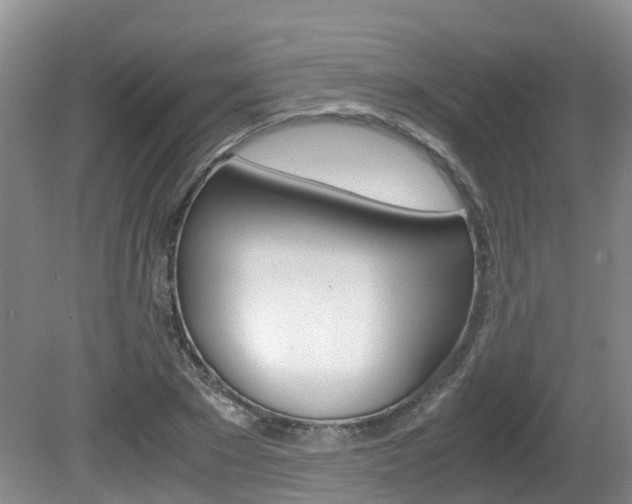 X0000081610881200701151117