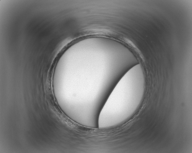 X0000081610883200701151117
