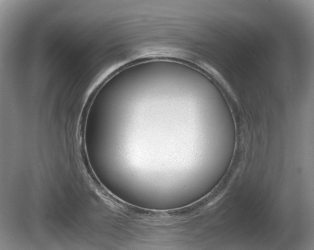 X0000081610885200701151117