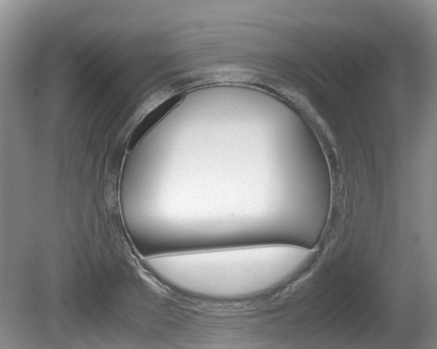 X0000081610889200701151117