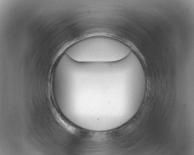 X0000081610890200701151117