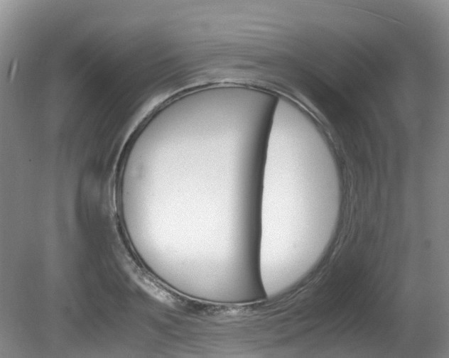 X0000081610891200701151117