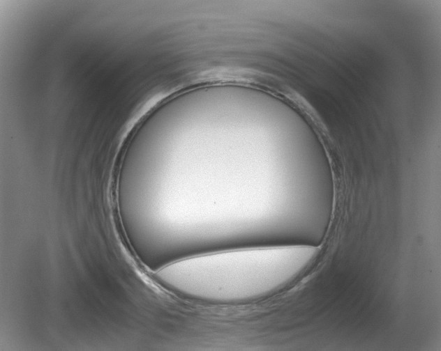 X0000081610893200701151117