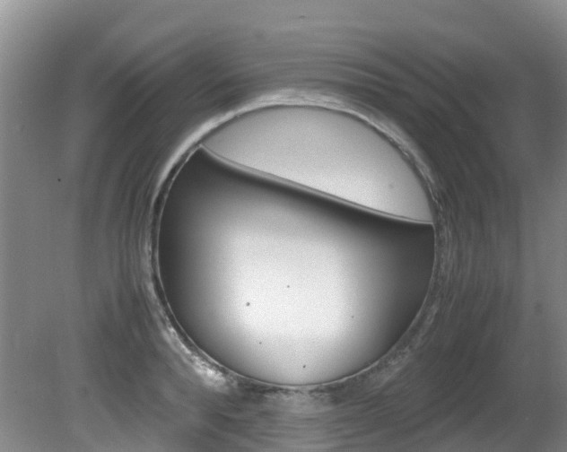 X0000081610896200701151117