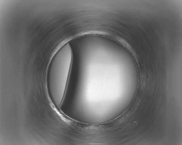 X0000081610898200701151117