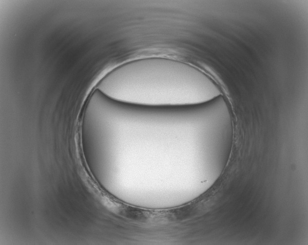 X0000081610899200701151117
