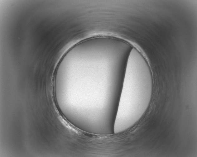 X0000081610903200701151117
