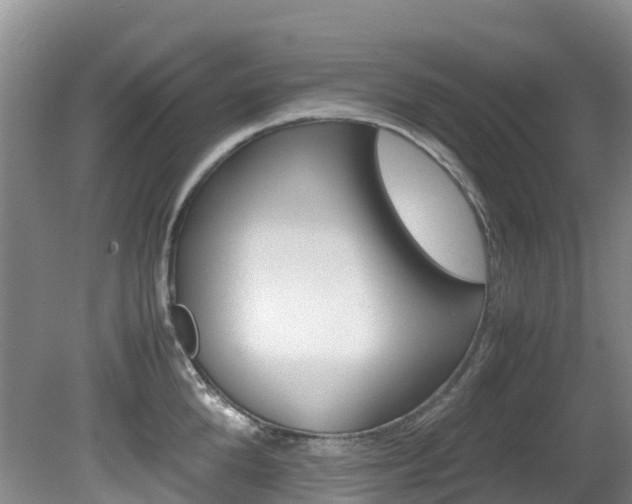 X0000081610904200701151117