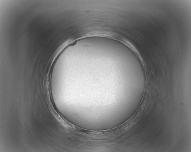 X0000081610907200701151117