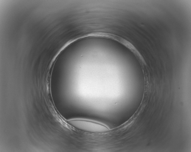 X0000081610908200701151117
