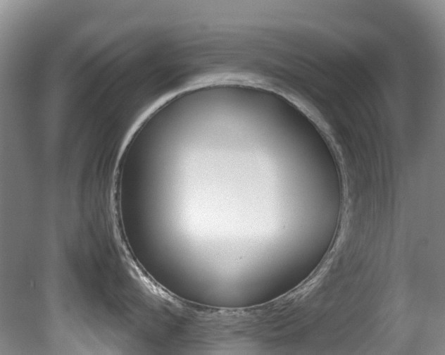 X0000081610912200701151117