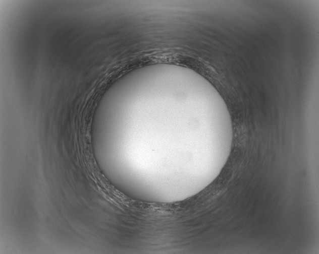 X0000081610913200701151116