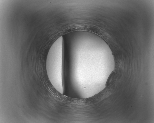 X0000081610914200701151116