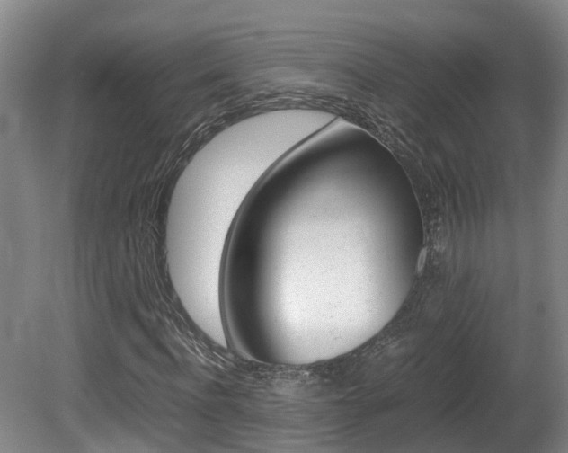 X0000081610916200701151116