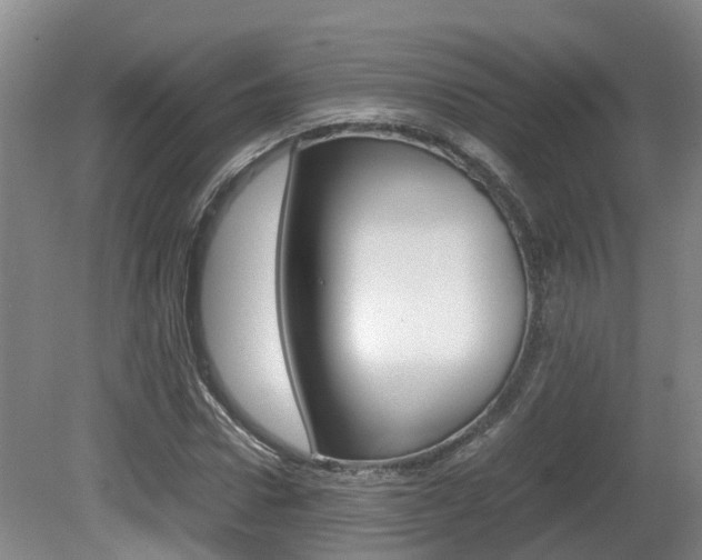 X0000081610922200701151116
